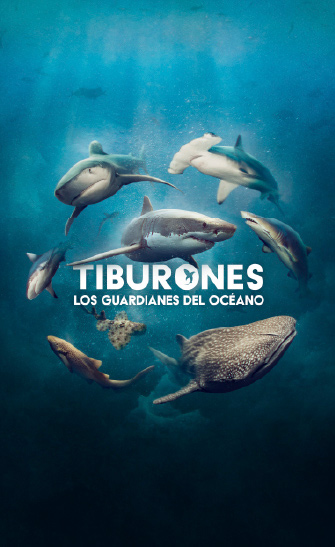 Tiburones. Los guardianes del océano