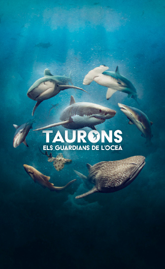 Taurons. Els guardians de l’oceà