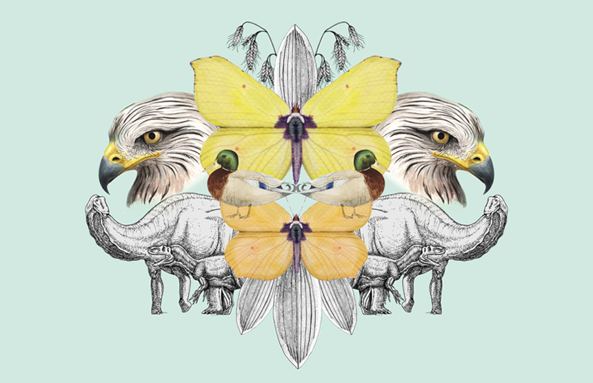 Talleres de ilustración científica en familia