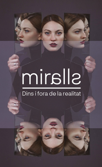 Miralls, dins i fora de la realitat