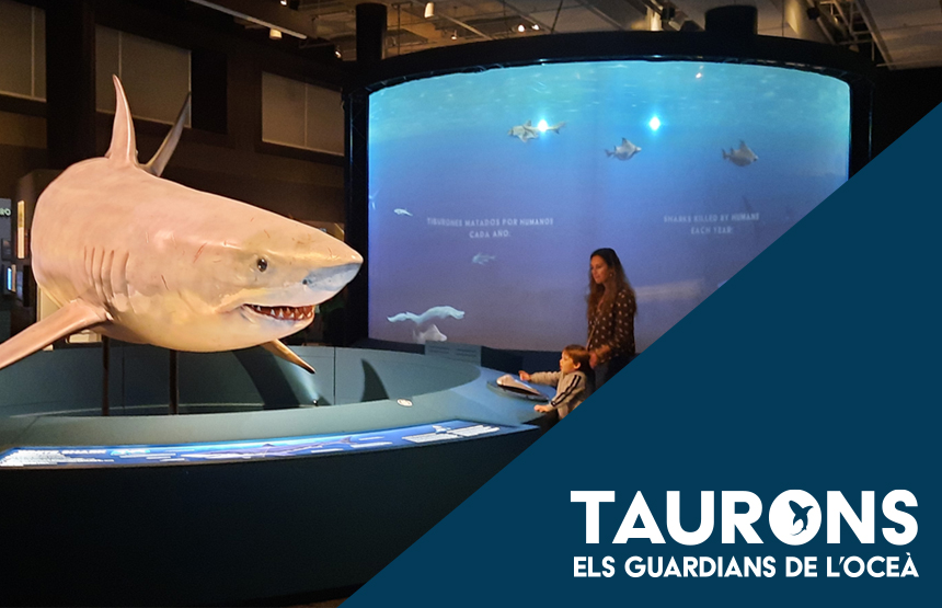 Activitat  de l'exposició taurons. els guardians de l’oceà