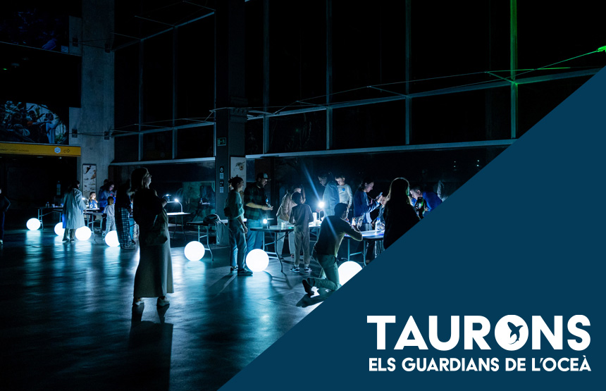 Activitat  de l'exposició taurons. els guardians de l’oceà