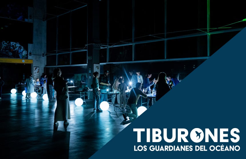 Actividad de la exposición tiburones. los guardianes del océano