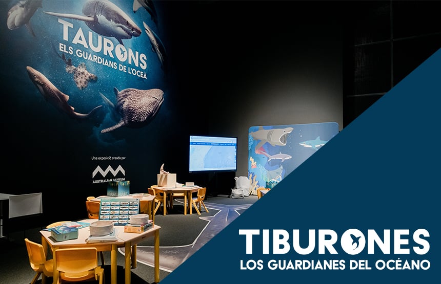 Actividad de la exposición tiburones. los guardianes del océano