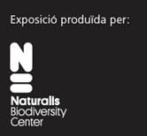 Museu Naturalis