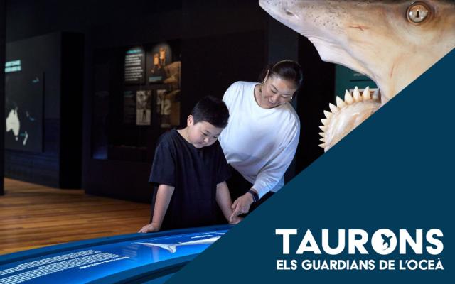 Activitat  de l'exposició tiburones. los guardianes del océano