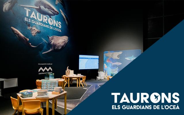 Activitat  de l'exposició tiburones. los guardianes del océano